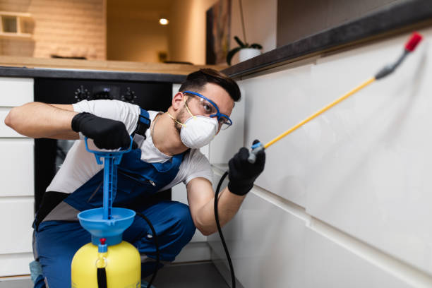 Best Residential Pest Control  in Bemiss, GA