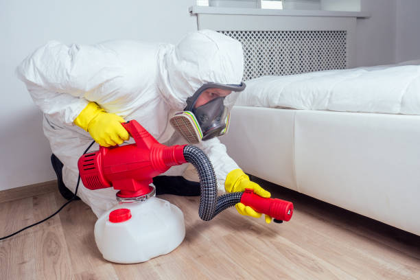 Best Pest Prevention Services  in Bemiss, GA